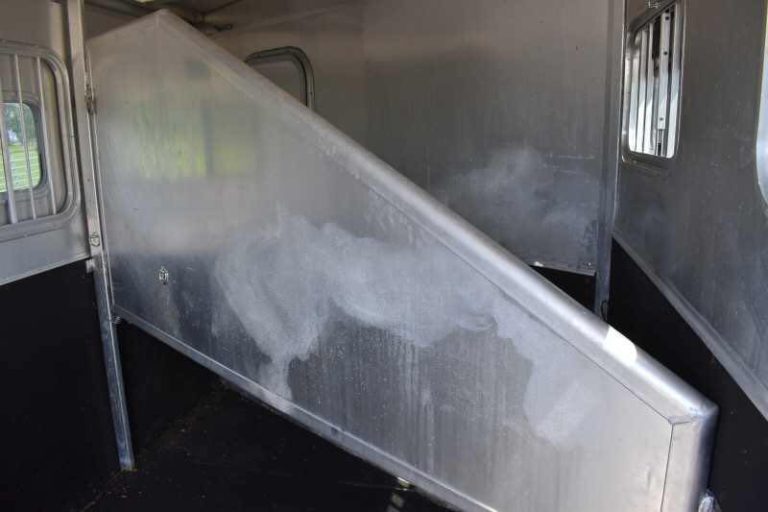 2002 Exiss SS20 2-Horse Trailer With 2 ft Short Wall - Image 15
